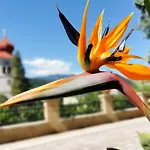 Diana Millstatt