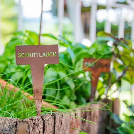 Apartamento Diana Millstatt